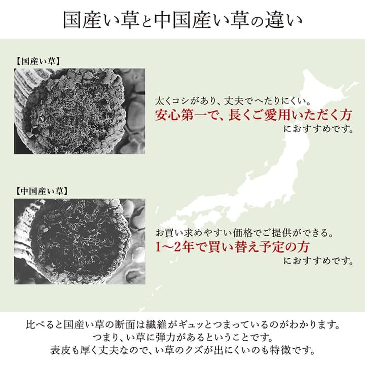 敷物 花ござ 国産 純国産 日本製 い草 モダン 抗菌防臭 自然素材 江戸間2畳 約174×174cm 送料無料
