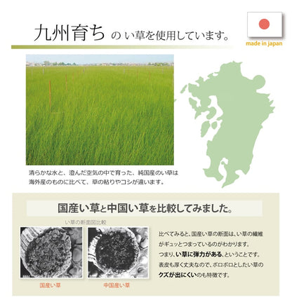 純国産 い草玄関マット 『Fランクス』 約60×90cm（裏:ウレタン） 送料無料 - 【公式】allecore(アレコレ) 家具インテリア・生活雑貨のオンライン通販