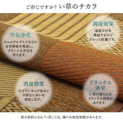 敷物 花ござ 国産 純国産 日本製 い草 モダン 抗菌防臭 自然素材 パッチワーク 江戸間10畳 約435×352cm 送料無料