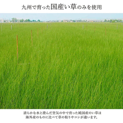 敷物 花ござ 国産 純国産 日本製 い草 モダン 抗菌防臭 自然素材 パッチワーク 不織布 江戸間1畳 約87×174cm 送料無料 - 【公式】allecore(アレコレ) 家具インテリア・生活雑貨のオンライン通販