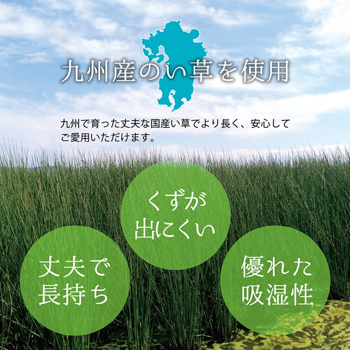 上敷き ゴザ 敷詰 カーペット い草 自然素材 日本製 国産 消臭 抗菌防臭 麻の葉 レトロ 和 江戸間2畳 約174×174cm 送料無料