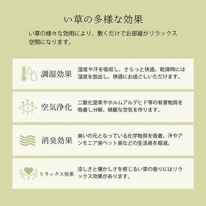 上敷き ゴザ 敷詰 カーペット い草 自然素材 日本製 国産 消臭 抗菌防臭 麻の葉 レトロ 和 江戸間8畳 約348×352cm 送料無料