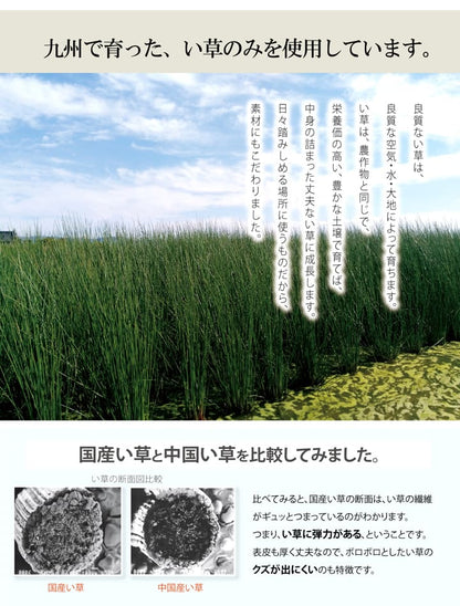玄関 マット 室内 おしゃれ 日本製 国産 い草 自然素材 花柄 モダン 約70×120cm 送料無料