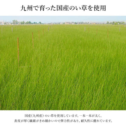 玄関マット 上がり框 和モダン おしゃれ クッション性 花柄 高級感 室内 天然素材 インテリア 約35×90cm 送料無料