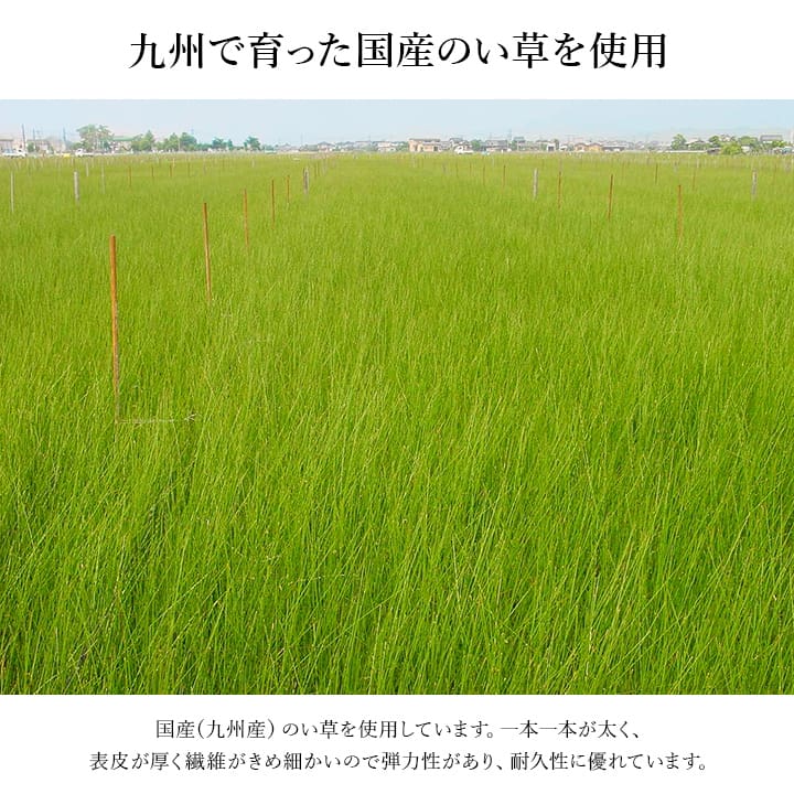 玄関マット 上がり框 和モダン おしゃれ クッション性 花柄 高級感 室内 天然素材 インテリア 約35×120cm 送料無料
