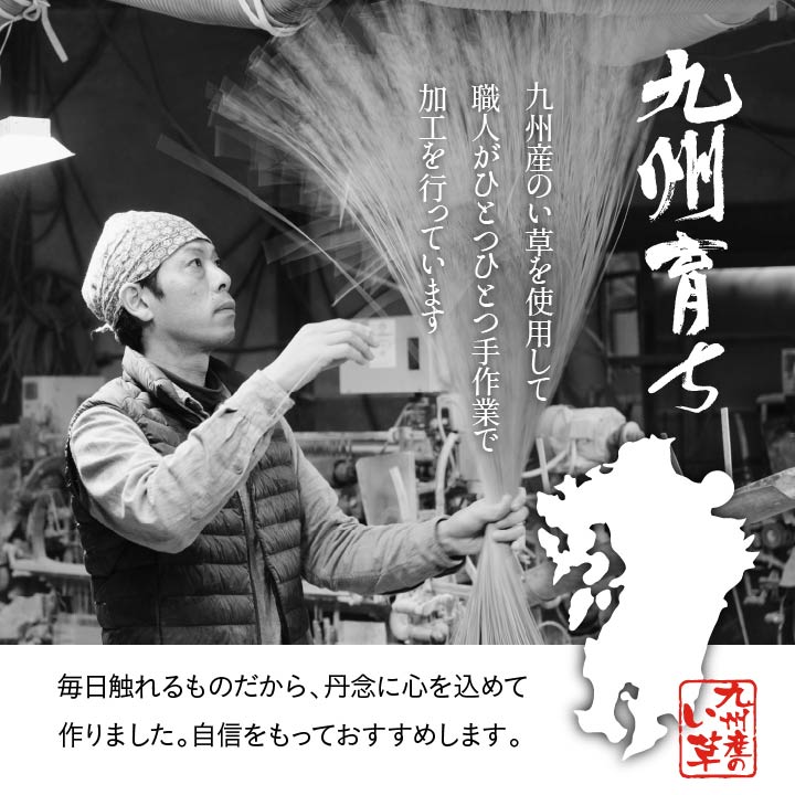 純国産 い草 上敷き カーペット 格子柄 本間6畳 (約286×382cm） 送料無料