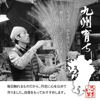 純国産 い草 上敷き カーペット 格子柄 本間8畳 (約382×382cm） 送料無料