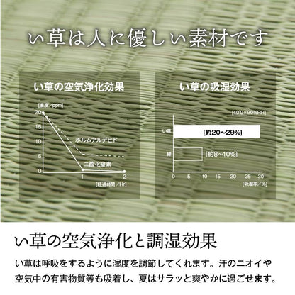 純国産 い草 上敷き カーペット 格子柄 本間3畳 (約191×286cm） 送料無料