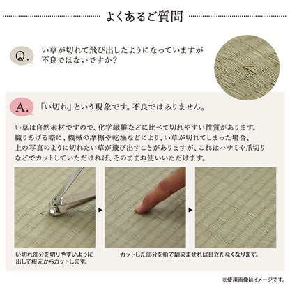 敷物 花ござ 国産 純国産 日本製 い草 掛川織 モダン 抗菌防臭 自然素材 江戸間4.5畳 約261×261cm 送料無料