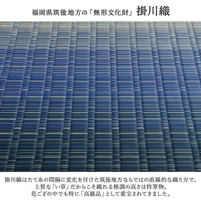 敷物 花ござ 国産 純国産 日本製 い草 掛川織 モダン 抗菌防臭 自然素材 江戸間8畳 約348×352cm 送料無料