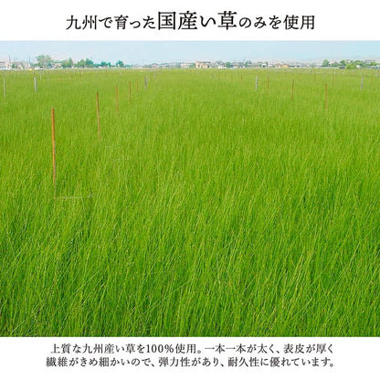 敷物 花ござ 国産 純国産 日本製 い草 掛川織 モダン 抗菌防臭 自然素材 江戸間1畳 約87×174cm 送料無料
