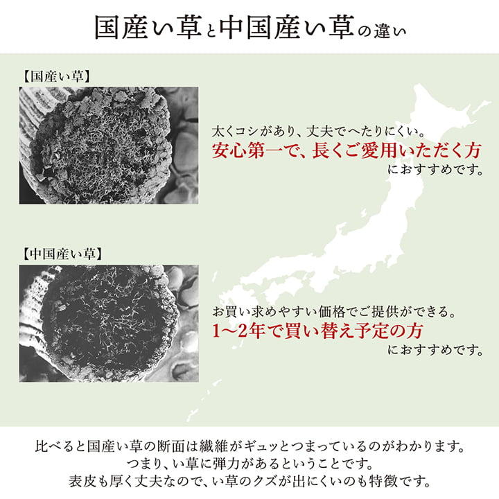敷物 花ござ 国産 純国産 日本製 い草 掛川織 モダン 抗菌防臭 自然素材 江戸間4.5畳 約261×261cm 送料無料
