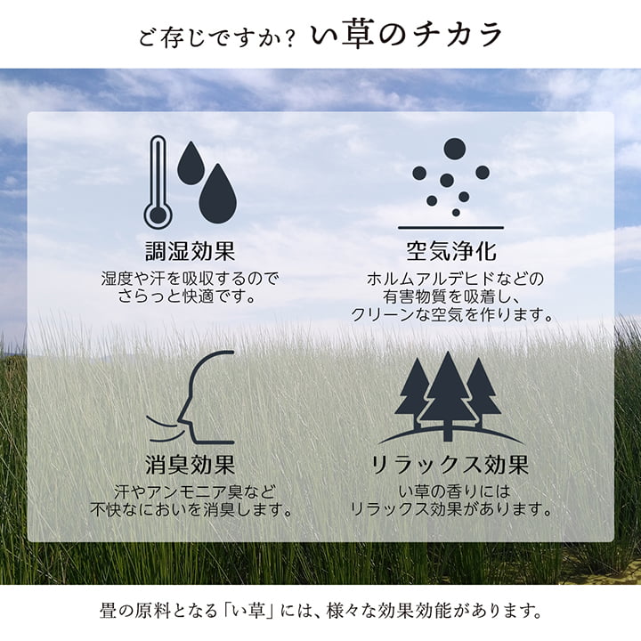 敷物 花ござ 国産 純国産 日本製 い草 掛川織 モダン 抗菌防臭 自然素材 江戸間1畳 約87×174cm 送料無料