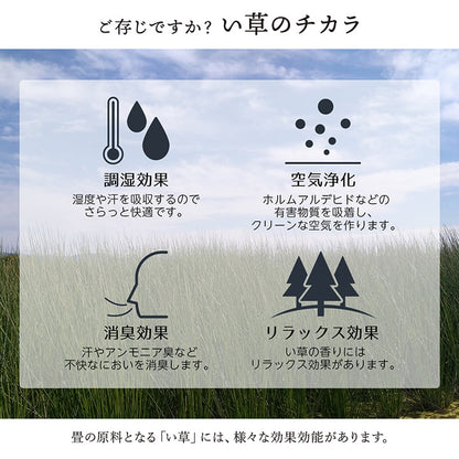 敷物 花ござ 国産 純国産 日本製 い草 掛川織 モダン 抗菌防臭 自然素材 江戸間1畳 約87×174cm 送料無料