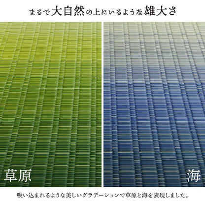 敷物 花ござ 国産 純国産 日本製 い草 掛川織 モダン 抗菌防臭 自然素材 江戸間2畳 約174×174cm 送料無料