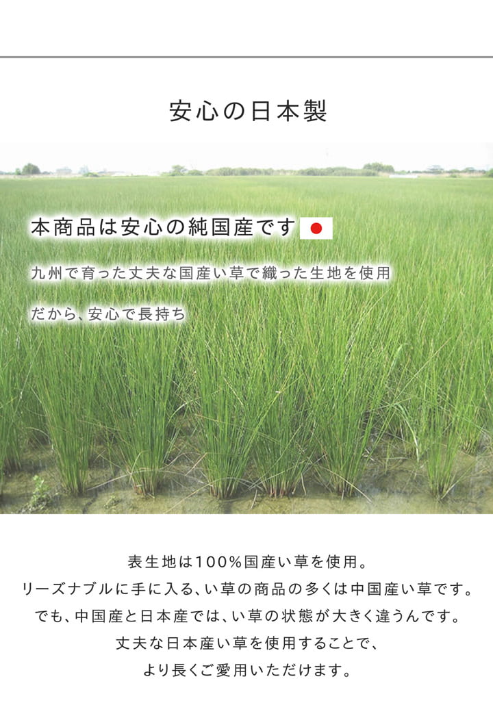 【新商品】キッチンマット240cm滑りにくい加工国産い草シンプル『おさかな』約60×240cm 送料無料