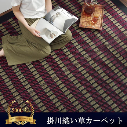 【福岡県品評会最優秀賞】敷物 国産 日本製 純国産 い草 掛川織 花ござ 抗菌防臭 自然素材 モダン 江戸間2畳 約174×174cm 送料無料