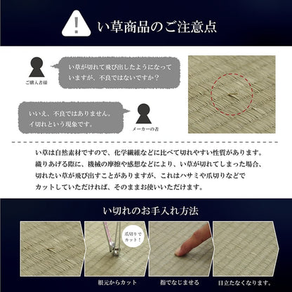 【福岡県品評会最優秀賞】敷物 国産 日本製 純国産 い草 掛川織 花ござ 抗菌防臭 自然素材 モダン 江戸間10畳 約435×352cm 送料無料