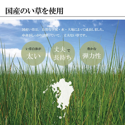 【福岡県品評会最優秀賞】敷物 国産 日本製 純国産 い草 掛川織 花ござ 抗菌防臭 自然素材 モダン 江戸間8畳 約348×352cm 送料無料