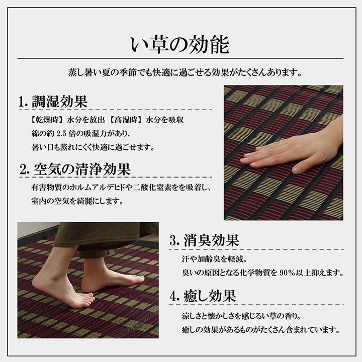 【福岡県品評会最優秀賞】敷物 国産 日本製 純国産 い草 掛川織 花ござ 抗菌防臭 自然素材 モダン 江戸間6畳 約261×352cm 送料無料