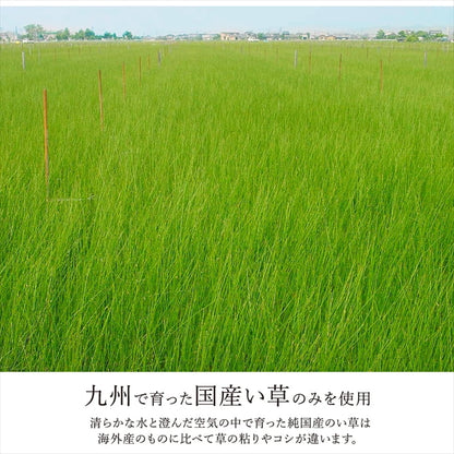 カーペット ござ 日本製 国産 敷詰 ラグ 敷物 ナチュラルスタイル い草 消臭 抗菌防臭 防炎 市松 江戸間4.5畳（約261×261cm） 送料無料