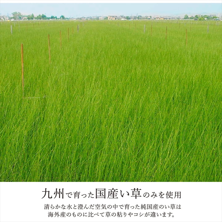 カーペット ござ 日本製 国産 敷詰 ラグ 敷物 ナチュラルスタイル い草 消臭 抗菌防臭 防炎 市松 江戸間3畳（約174×261cm） 送料無料