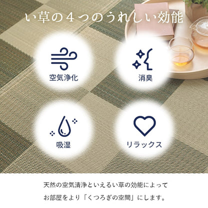 純国産 い草花ござカーペット 『ブロック』 江戸間1畳(約87×174cm） 送料無料