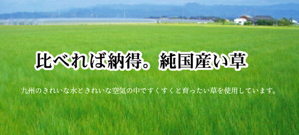 純国産 イ草花ござカーペット 『扇』 江戸間6畳(約261×352cm) 送料無料