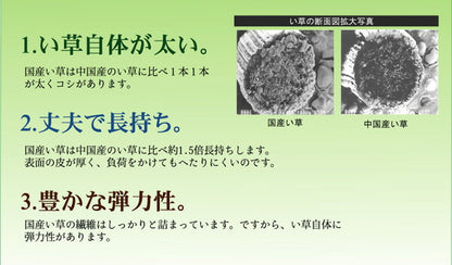 純国産 イ草花ござカーペット 『扇』 江戸間6畳(約261×352cm) 送料無料