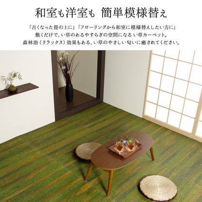 純国産 い草花ござカーペット 『カイン』 江戸間6畳(約261×352cm） 送料無料
