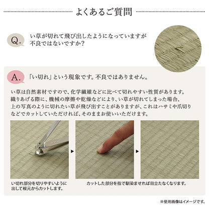 キッチンマット い草 自然素材 国産 純国産 日本製 汚れにくい シミになりにくい ウレタン カジュアル フルーツ 約60×120cm 送料無料 - 【公式】allecore(アレコレ) 家具インテリア・生活雑貨のオンライン通販