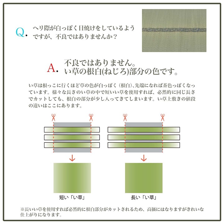 上敷き ゴザ 敷詰 カーペット い草 自然素材 日本製 国産 消臭 ナチュラル 市松柄 シンプル 江戸間4.5畳 約261×261cm 送料無料