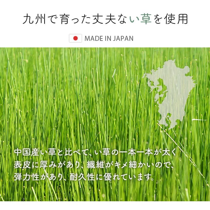 玄関マット 花柄 高級感  室内 おしゃれ 玄関 マット い草ラグ 日本製 抗菌防臭 国産 滑り止め い草 約70×120cm 送料無料
