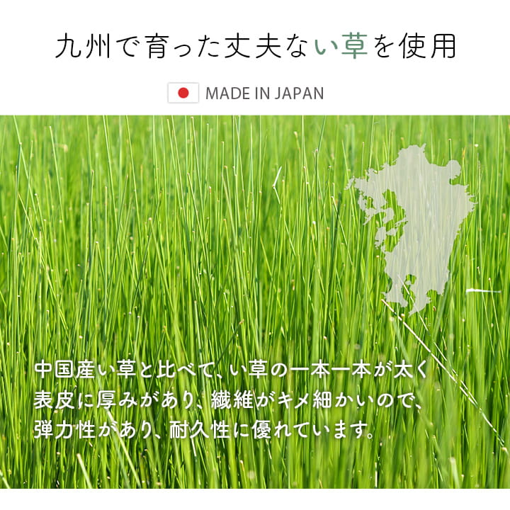 玄関マット 室内 おしゃれ マット い草ラグ 日本製 抗菌防臭 日本製 滑り止め ウレタン 新生活 ラグマット 北欧調 約60×90cm 送料無料