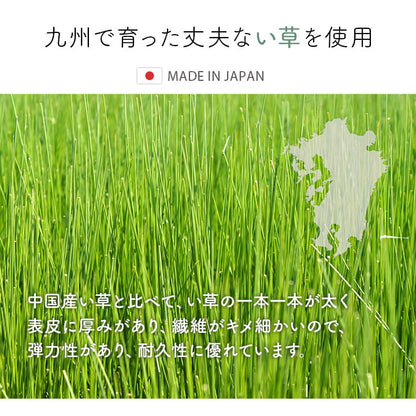 玄関マット 室内 おしゃれ マット い草ラグ 日本製 抗菌防臭 日本製 滑り止め ウレタン 新生活 ラグマット 北欧調 約60×90cm 送料無料
