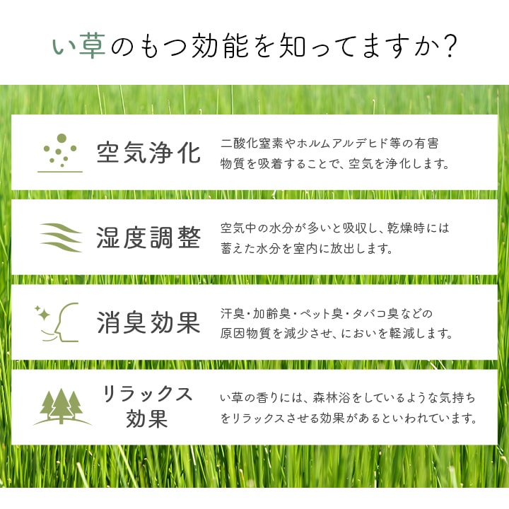 玄関マット 室内 おしゃれ マット い草ラグ 日本製 抗菌防臭 日本製 滑り止め ウレタン 新生活 ラグマット 北欧調 約60×90cm 送料無料