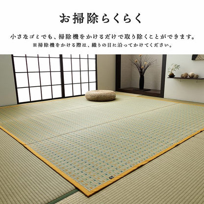 日本 い草 イグサ 自然素材 夏 年間 おすすめ カーペット ラグ 涼しい 江戸間2畳 174×174cm 送料無料