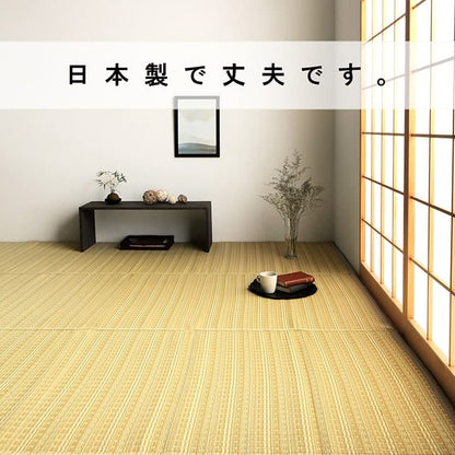 【新商品】洗える カーペット ダイニング ラグ 敷詰 丈夫 日本製 国産 除菌スプレー対応 ござ アウトドア ペット 江戸間1畳（約87×174cm） 送料無料