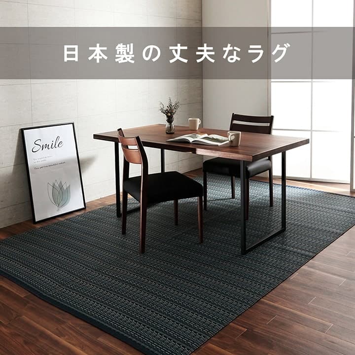 【新商品】洗える カーペット ダイニング ラグ 敷詰 丈夫 日本製 国産 除菌スプレー対応 アウトドア ペット 本間8畳（約382×382cm） 送料無料