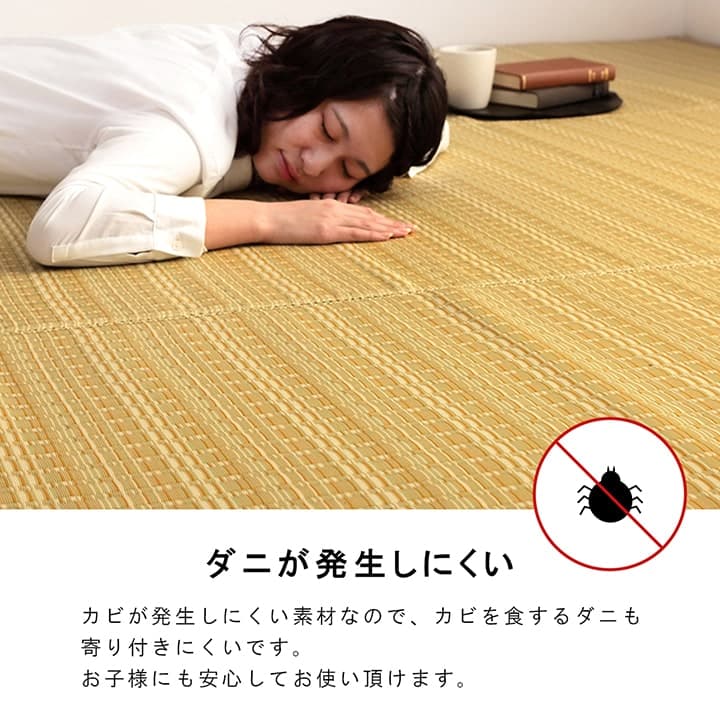 【新商品】洗える カーペット ダイニング ラグ 敷詰 丈夫 日本製 国産 除菌スプレー対応 ござ アウトドア ペット 団地間1畳（約85×170cm） 送料無料