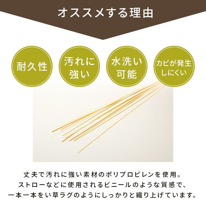 洗える ござ 日本製 国産 カーペット 丈夫 除菌スプレー対応 敷詰 ラグ 敷物 ペット 無地 江戸間2畳（約174×174cm） 送料無料