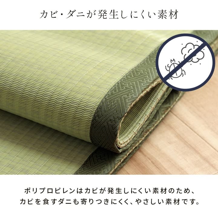 洗える ござ 日本製 国産 カーペット 丈夫 除菌スプレー対応 敷詰 ラグ 敷物 ペット 無地 江戸間2畳（約174×174cm） 送料無料
