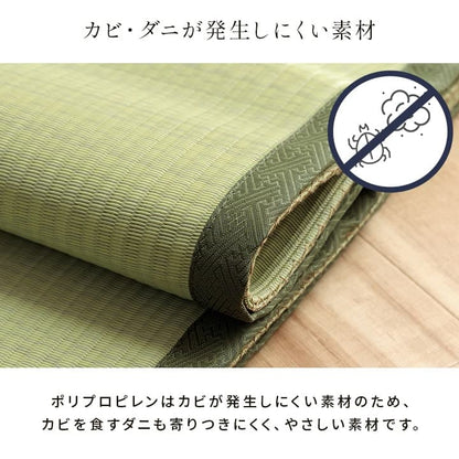 洗える ござ 日本製 国産 カーペット 丈夫 除菌スプレー対応 敷詰 ラグ 敷物 ペット 無地 江戸間2畳（約174×174cm） 送料無料