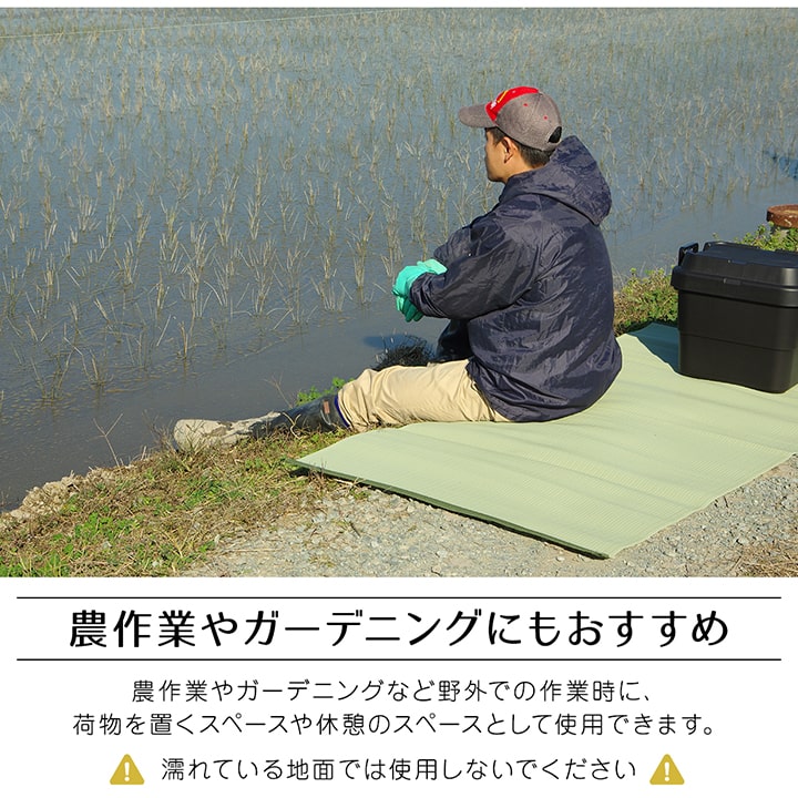【新商品】ラグ 洗える 日本製 国産 アウトドア レジャー アウトドア 和室 シンプル 江戸間8畳(約348×352cm) 送料無料