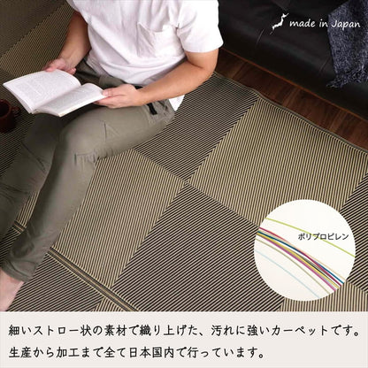 【新商品】洗える ござ 日本製 国産 カーペット 丈夫 除菌スプレー対応 敷詰 ラグ 敷物 ナチュラルスタイル アウトドア レジャー ペット 江戸間1畳（約87×174cm） 送料無料