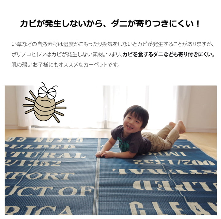 タイポグラフィ 洗えるポリプロピレンラグ 『トリド』 約174×174cm 送料無料