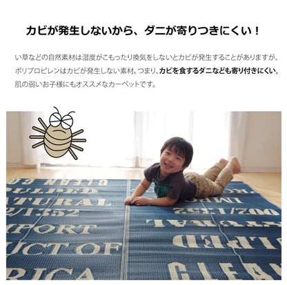 タイポグラフィ 洗えるポリプロピレンラグ 『トリド』 約174×174cm 送料無料