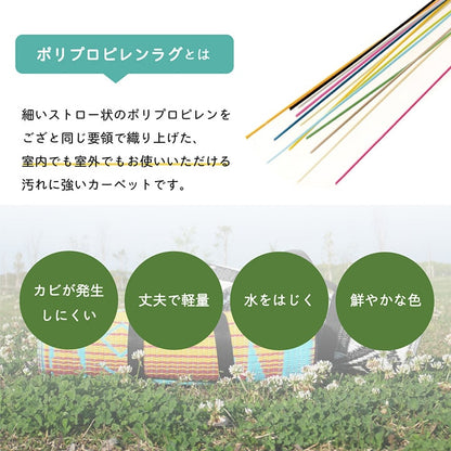 【新商品】日本製 洗える レジャー シート アウトドア お手入れ 持ち運び 便利 簡単 楽 PP ポリプロピレン エスニック カラフル 約87×140cm 送料無料