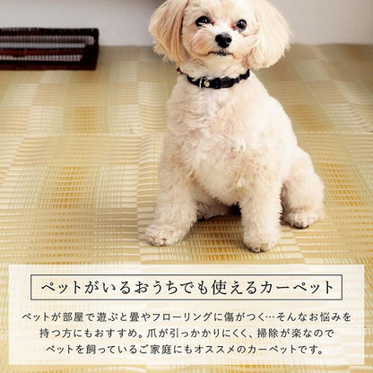 【新商品】洗える ござ 日本製 国産 カーペット 丈夫 除菌スプレー対応 敷詰 ラグ 敷物 アウトドア レジャー ペット 本間8畳（約382×382cm） 送料無料
