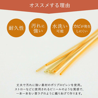 【新商品】洗える ござ 日本製 国産 カーペット 丈夫 除菌スプレー対応 敷詰 ラグ 敷物 アウトドア レジャー ペット 本間10畳（約477.5×382cm） 送料無料